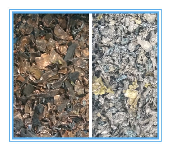 WENYAO Landbouw Hoge Snelheid Tarwe Kleur Sorteerder Met AI Besturingssysteem