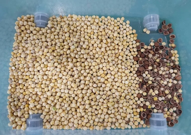 Van de de Zadenthee van de korrelrijst van de het Glaskleur Plastic de Sorteerdersmachine
