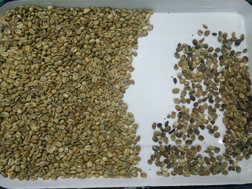 Soja Bean Color Sorter High Output voor de Notenrijst van de Korrelrijst