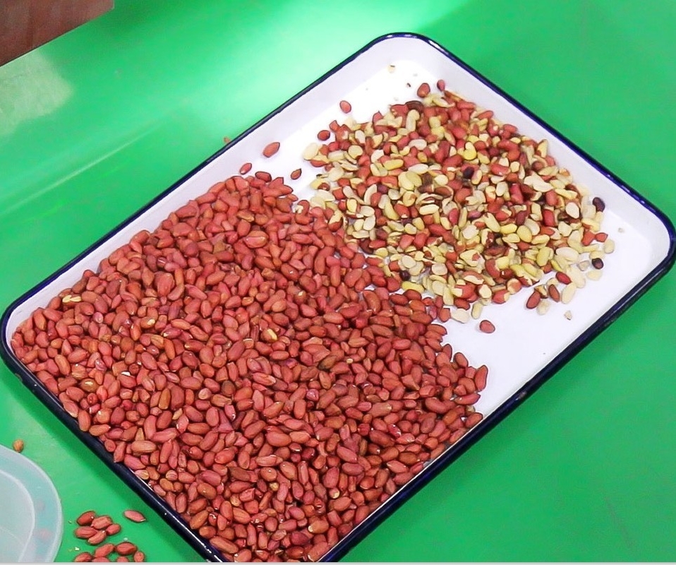 WENYAO Grain Sorter High Performance voor de Lijn van de Peperopbrengst