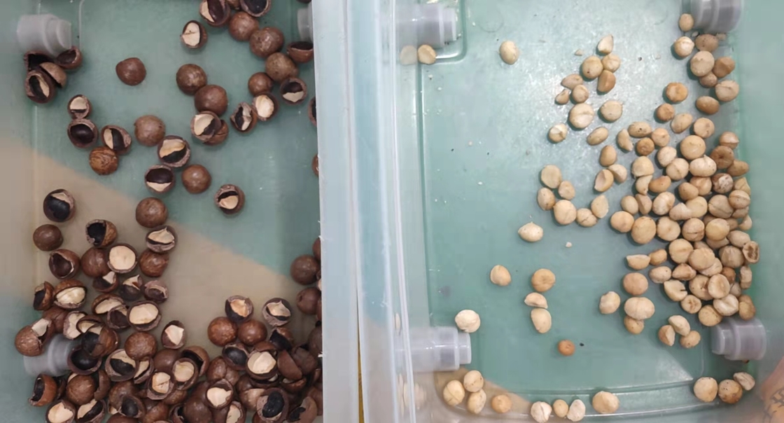 Automatisch Mini Macadamia Nuts Color Sorter Draagbaar met Wiel