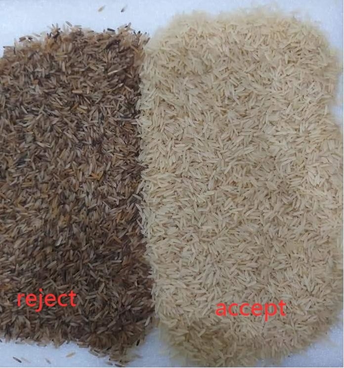 WENYAO Parboiled Japonica Sorghum Rice-Kleurensorteerder 8 Hellingen