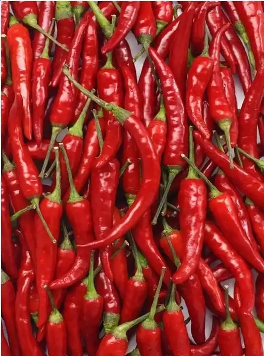 De hete RGB Camera van Peperchili belt color sorter with