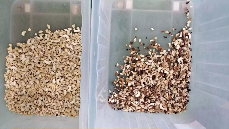 WenYao Optical Mini Seed Color-Sorteerdersmachine voor Rijstkorrel