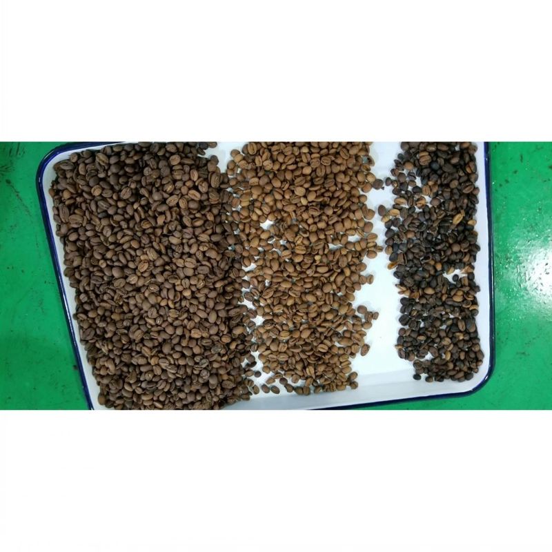Automatische Bonen Kleur Sorter Koffiebonen Sorteermachine Multifunctionele Separator voor Sojabonen Linzen Kikkererwten