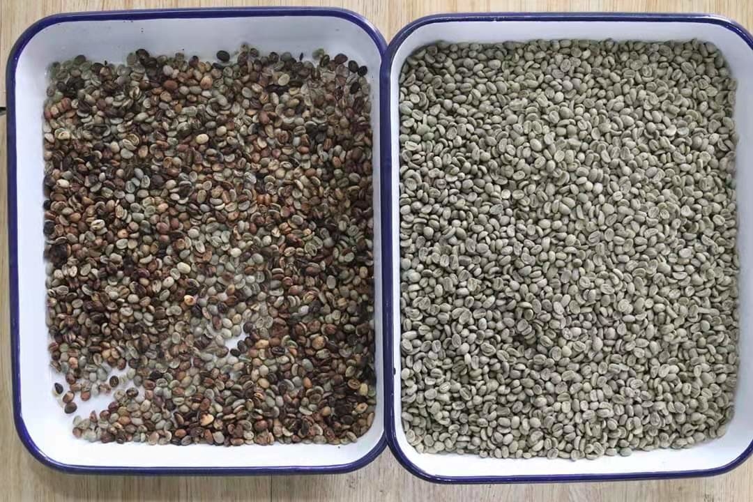 Optische RGB CCD-Nier Bean Mung Bean Sorting Machine 1 Hellingen