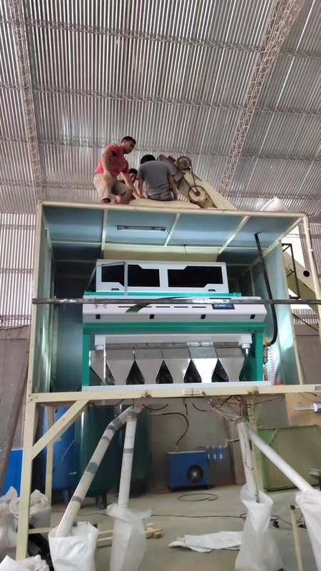 Wenyaohdpe LDPE pp ABS Plastic Machine 99,9% van de Kleurensorteerder Nauwkeurigheid