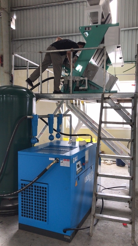 Van de Roggebonen van Polen de Machine van de de Kleurensorteerder voor Witte en Bonen die sorteren schoonmaken