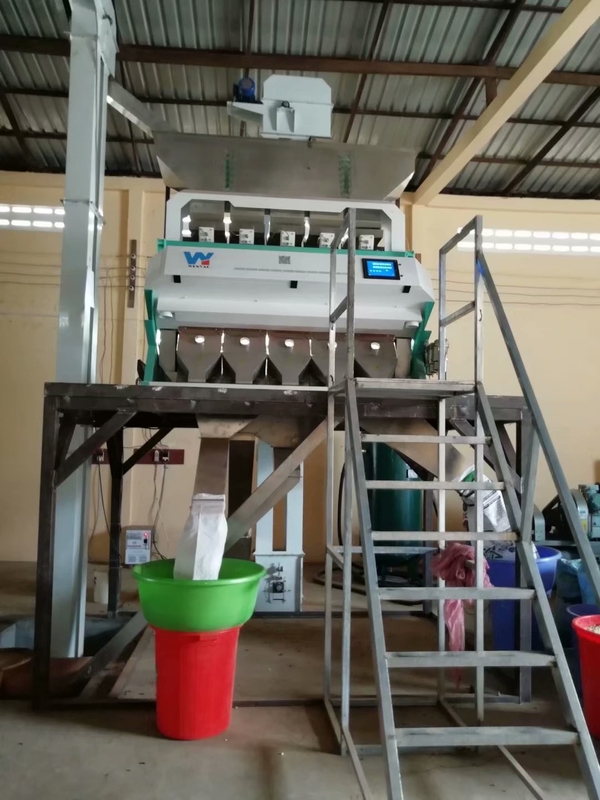 Van de Roggebonen van Polen de Machine van de de Kleurensorteerder voor Witte en Bonen die sorteren schoonmaken