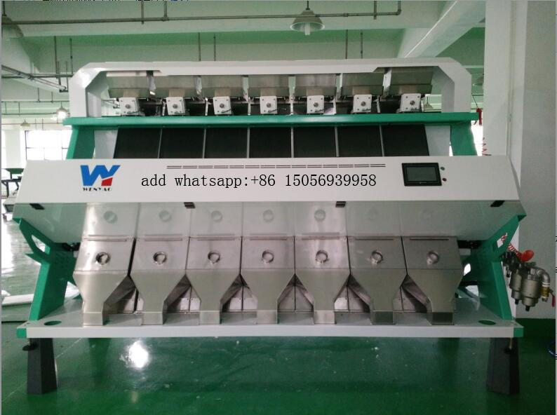 AI Zelf het Leren CCD Optische Multifunctionele India de Sorteerders Hoge Nauwkeurigheid van de Knoflookkleur