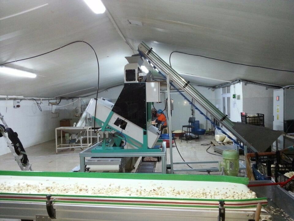 Slim Ce van Ce ISO9001 van Paddy Grain Color Sorter CCD van de 8 Hellingentarwe Optisch