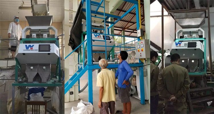 8 hellingen 512 Kanalen Chia Seeds Color Sorter Machine met RGB Camera