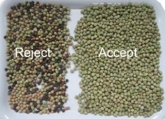 Wenyao Hoge nauwkeurigheid Kleur Sorter Bonen Graan Granen Tarwe Maïs Zaden Theegranen Kleur Sorter Wifi afstandsbediening