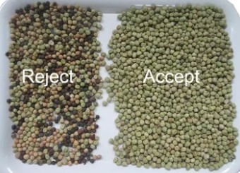 Van het Systeemwenyao beans intelligent automated sorter van de Wifiafstandsbediening het Certificaat van Ce