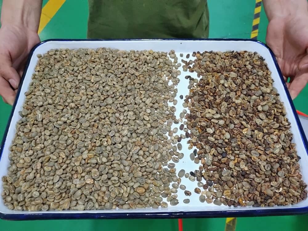 Wenyao Hoge nauwkeurigheid Kleur Sorter Bonen Graan Granen Tarwe Maïs Zaden Theegranen Kleur Sorter Wifi afstandsbediening