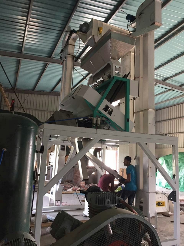 De hoge van de de kleurensorteerder van het nauwkeurigheidskruid van de de kruidnagelkleur van de de sorteermachinekomijn separator van de de kleurensorteerder met 2 jaar garantie