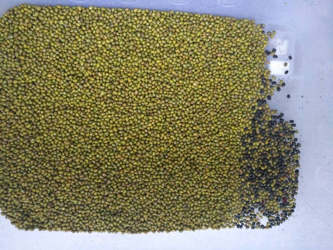 Van de de Kikkererwtenpinda van de graanokkernoot de Sorteermachine van de de Kardemomkleur van Olive Color Separator Roasted Nut