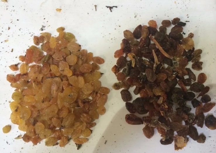 Van de de Kikkererwtenpinda van de graanokkernoot de Sorteermachine van de de Kardemomkleur van Olive Color Separator Roasted Nut