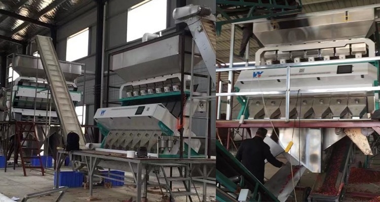 Van de de Rozijnenkleur van de notenamandel de Sensor van de Sorteerdersmini color sorting machine with CCD