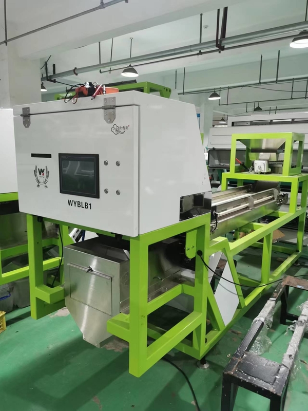 Knoflook kleur sorteermachine Koffie kersen kleur sorteermachine