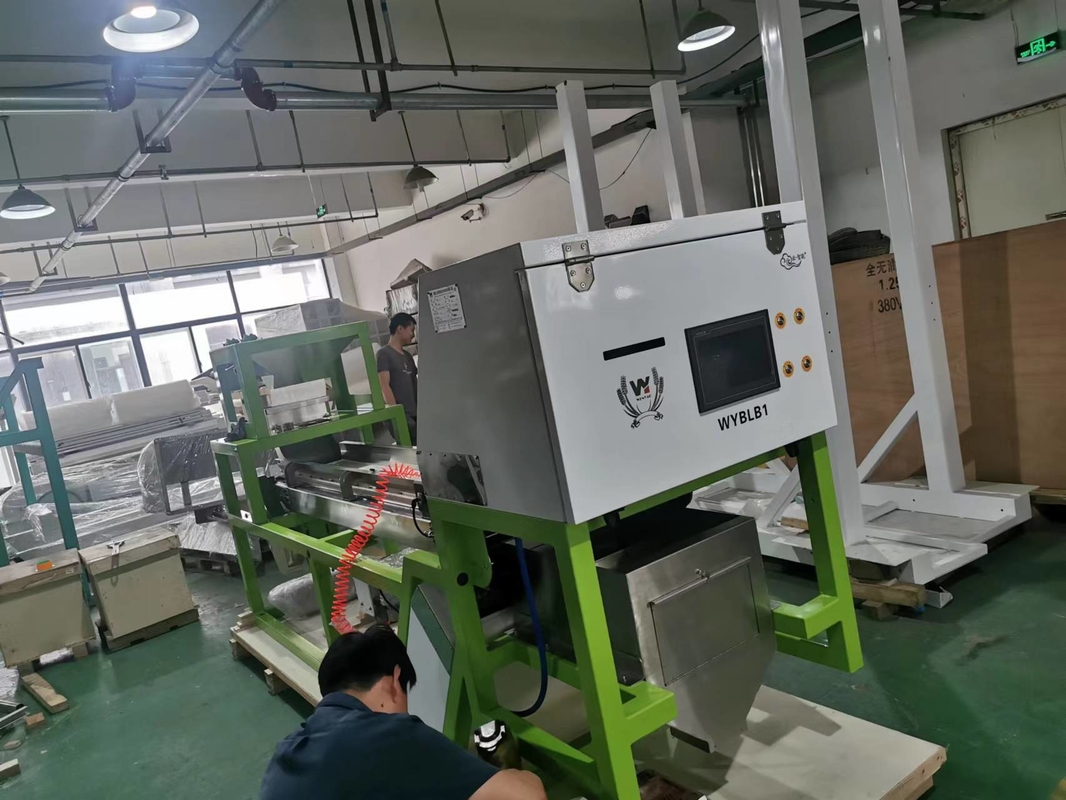 Knoflook kleur sorteermachine Koffie kersen kleur sorteermachine