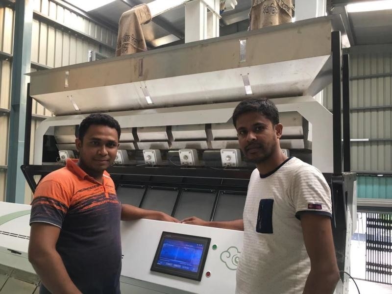 Hoge capaciteit rijstkleur sorteermachine 0,3 - 0,9t/h 2 jaar sorteren nauwkeurigheid 99,5 - 99,9%