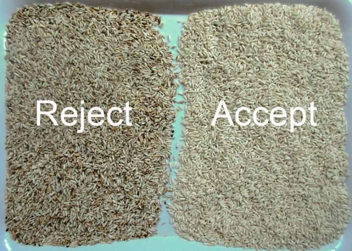 WENYAO Fijn Sorteren Multi-Kleur Detectie voor Rijst Sorteerbewerkingen Kleur Sorteermachine Parboiled Rijst Lange Korrel