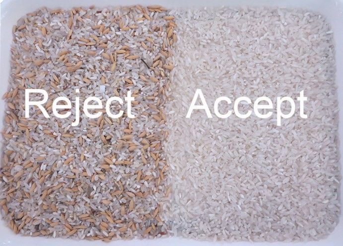 WENYAO Fijn Sorteren Multi-Kleur Detectie voor Rijst Sorteerbewerkingen Kleur Sorteermachine Parboiled Rijst Lange Korrel