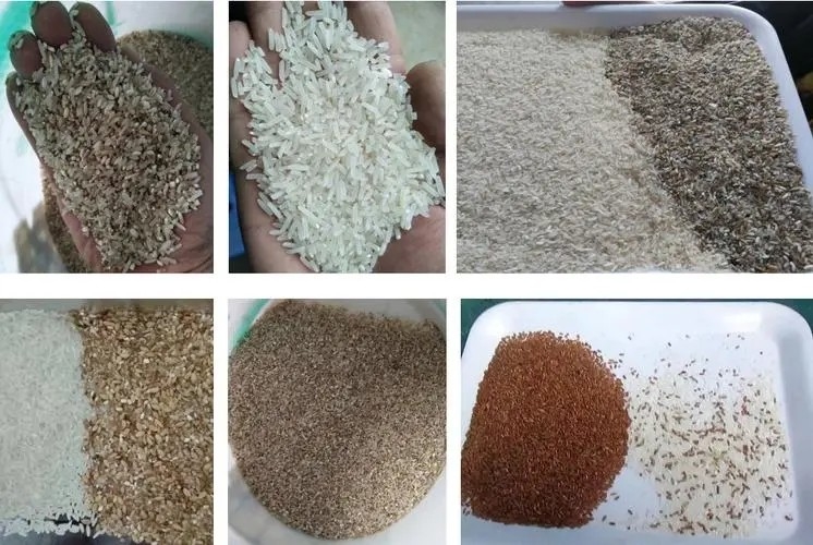 Kleur sorteermachine voor katoenzaad Gaur Gum Tea Raisin Kleur sorteermachine