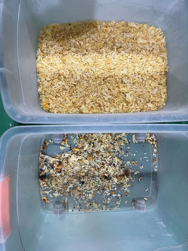 Kleur sorteermachine voor katoenzaad Gaur Gum Tea Raisin Kleur sorteermachine