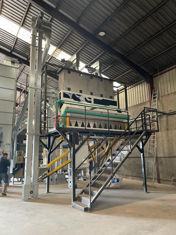 Tamarindzaad pompoenzaad optische kleur sorteren machine hoge doorvoer