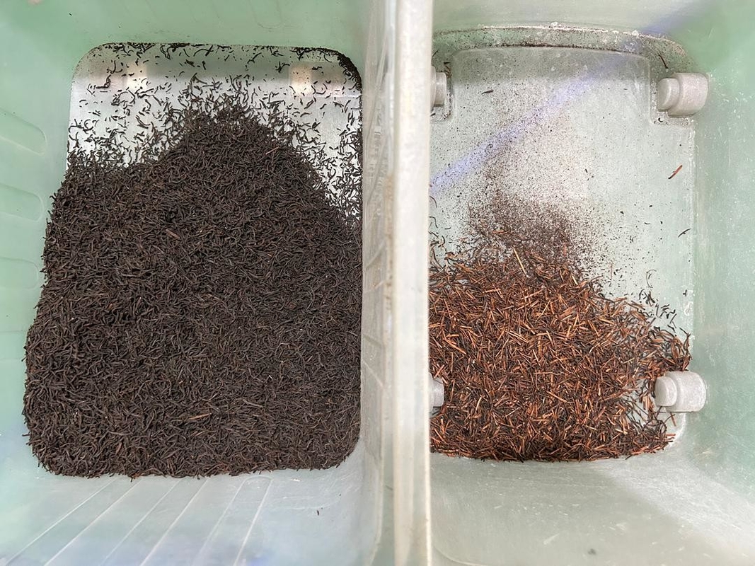 Hoge nauwkeurigheid Theekleur Sorter Machine Optische sorteeroplossing Snel verwijderen Theestengels Zaden