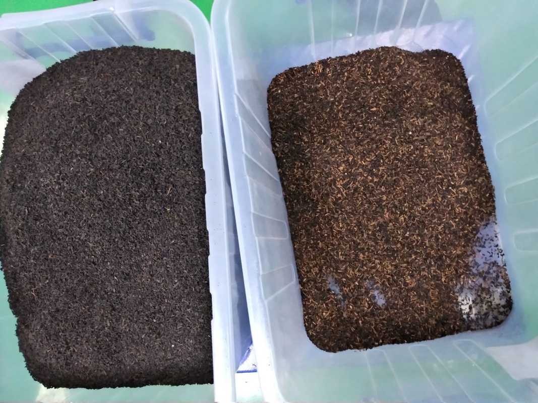 Hoge nauwkeurigheid Theekleur Sorter Machine Optische sorteeroplossing Snel verwijderen Theestengels Zaden