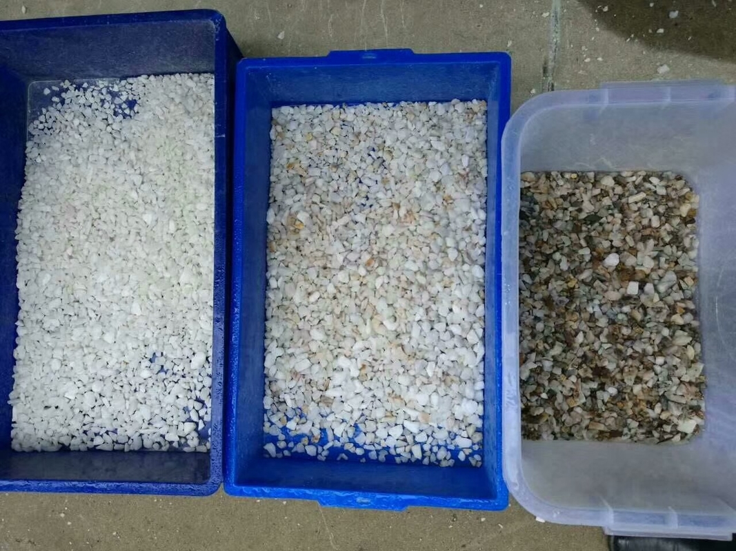 Intelligente zoutkleur sorteermachine Clean Select Voor zoutverwerkingsinstallatie
