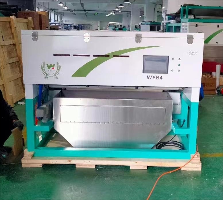Hoge nauwkeurigheid Intelligente WYB4 Belt Knoflook Kleur Sorter Machine met Wifi afstandsbediening met CE-certificaat