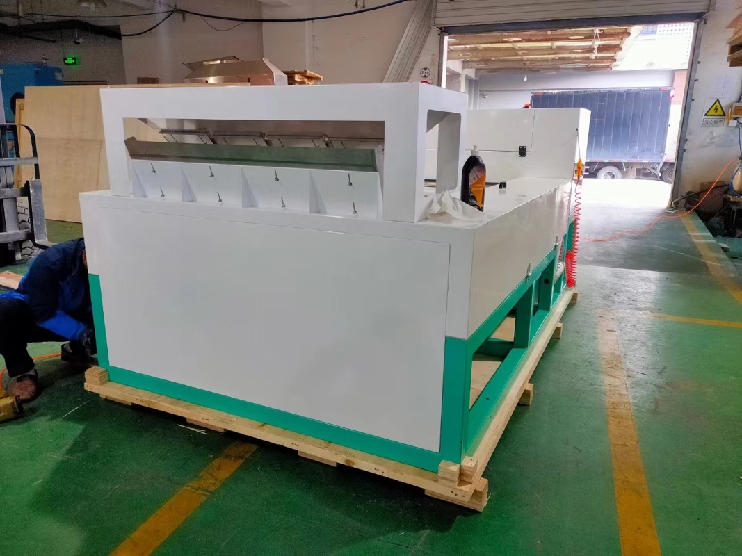 Hoge nauwkeurigheid Intelligente WYB4 Belt Knoflook Kleur Sorter Machine met Wifi afstandsbediening met CE-certificaat