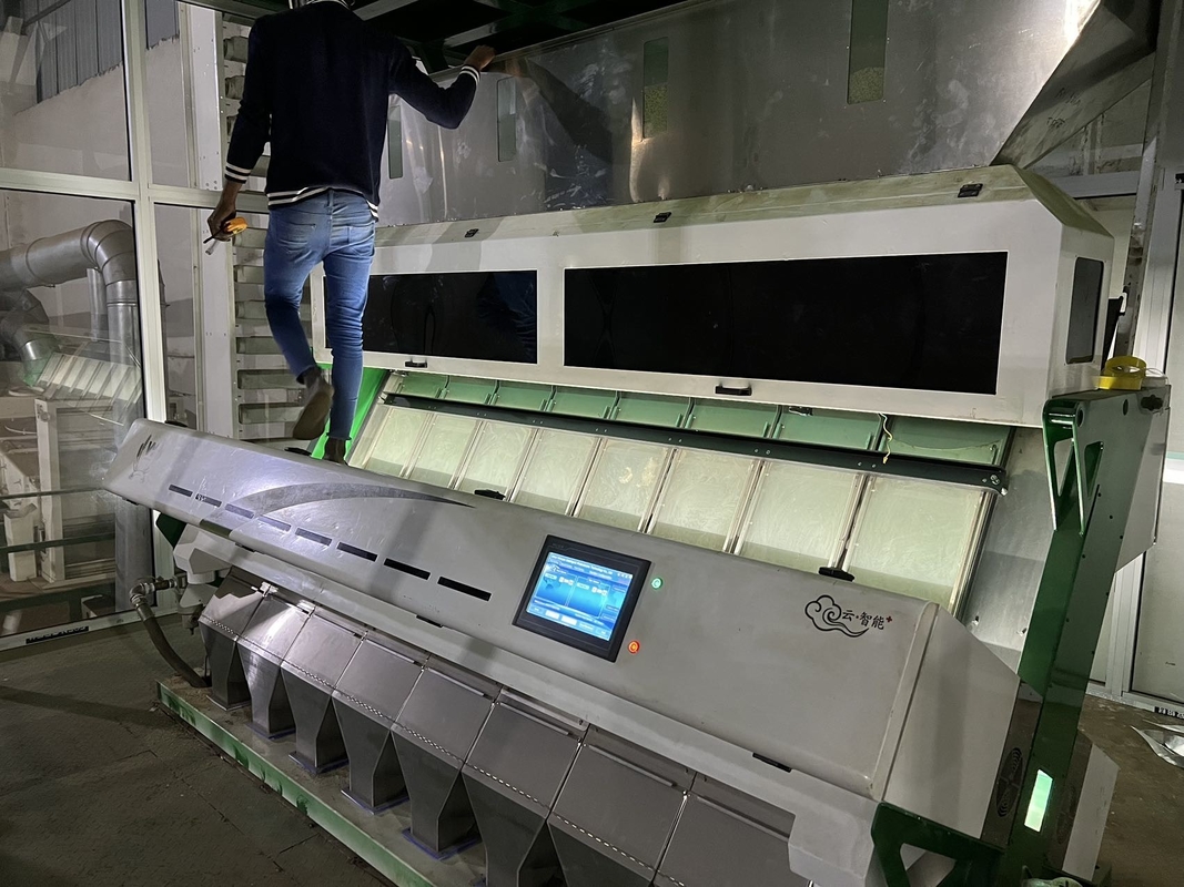 Roestvrij staal materiaal bonen kleur sorteermachine met 8 schachten 4 - 5t / h