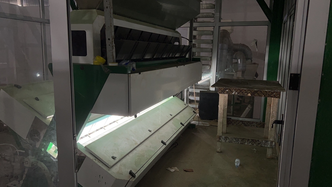 Roestvrij staal materiaal bonen kleur sorteermachine met 8 schachten 4 - 5t / h