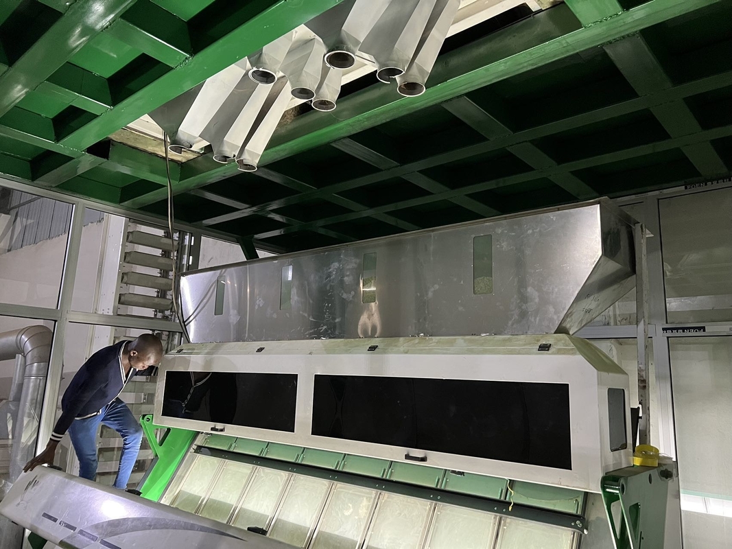 Groene rauwe koffiebonen kleur sorteermachine voor het sorteren van geroosterde koffiebonen