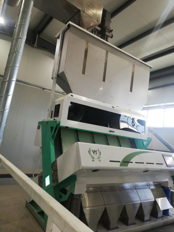 5 de Kleurensorteerder van de hellingen Beschimmelde Tarwe, Sorteerdersmachine voor Tarwe voor het Verwijderen van Schimmeltarwe