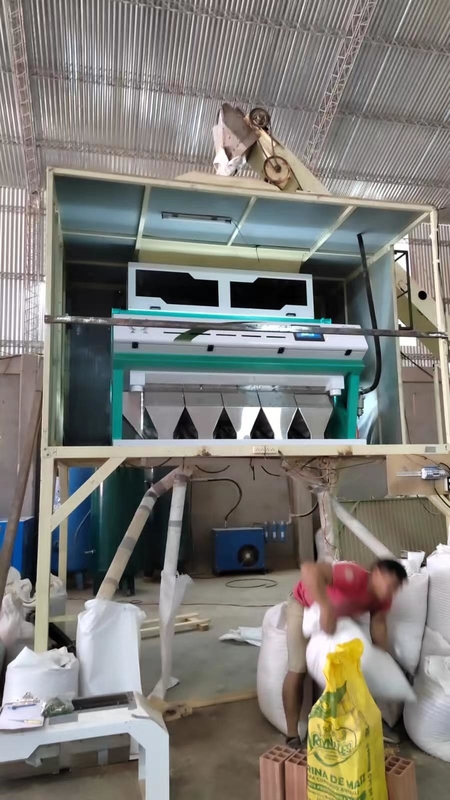5 de Kleurensorteerder van de hellingen Beschimmelde Tarwe, Sorteerdersmachine voor Tarwe voor het Verwijderen van Schimmeltarwe