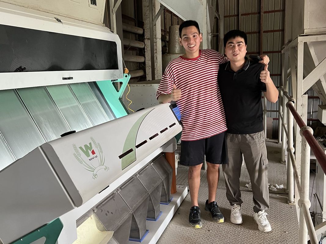 5 de Kleurensorteerder van de hellingen Beschimmelde Tarwe, Sorteerdersmachine voor Tarwe voor het Verwijderen van Schimmeltarwe