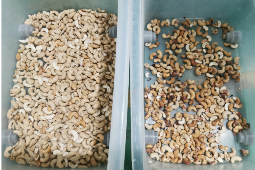 Zonnebloempitten Kleur Sorteermachine Voor het sorteren van pistache Cashew Noot Kleur Sorteermachine