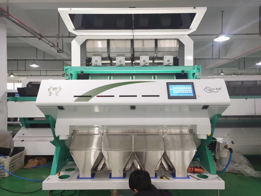 Zonnebloempitten Kleur Sorteermachine Voor het sorteren van pistache Cashew Noot Kleur Sorteermachine