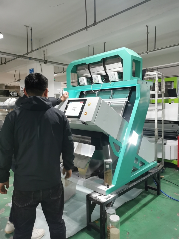 Automatische hoogwaardige sorteerfunctie Walnoot kleur sorter kernel en schelp scheiding