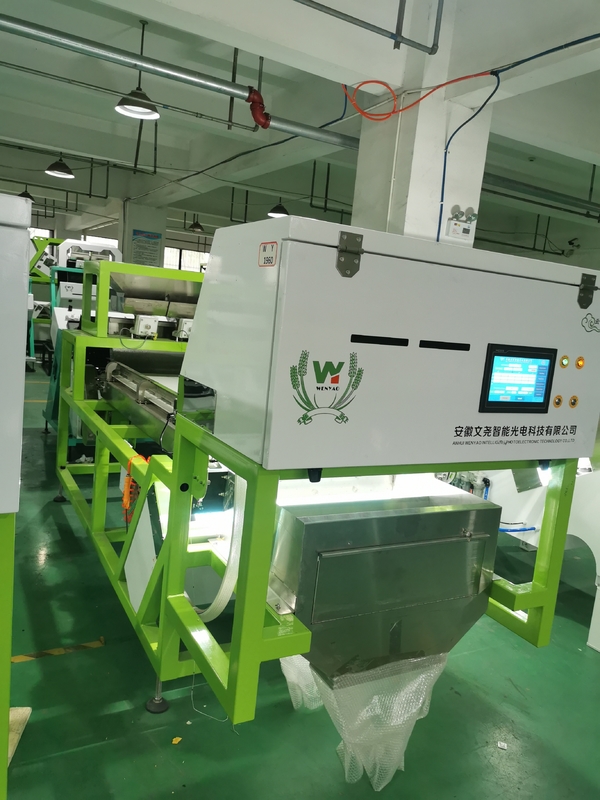 Groene Cardomom Kleur Sorter Vers Cardamun Kleur Sorter Gordel Kleur Sorter