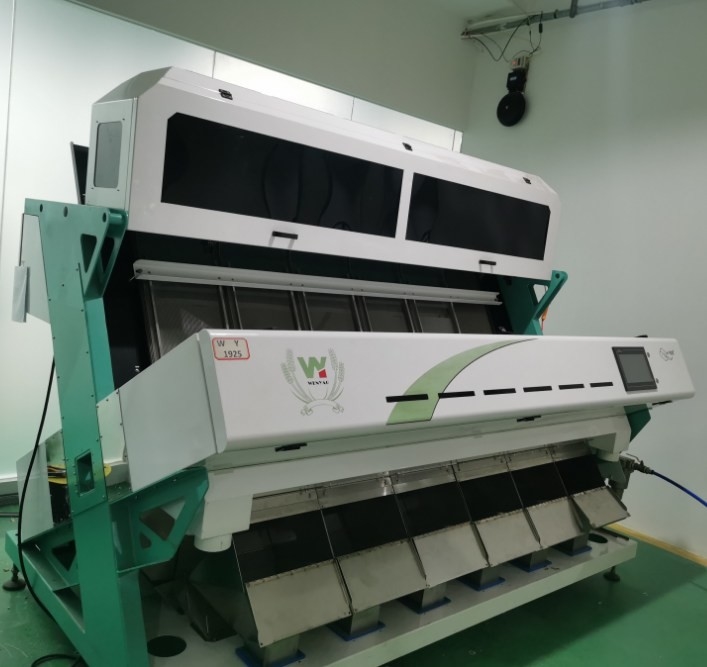 Zonnebloempitten Kleur sorteren machine Zonnebloempitten verwerken machine