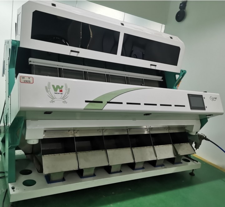 Zonnebloempitten Kleur sorteren machine Zonnebloempitten verwerken machine