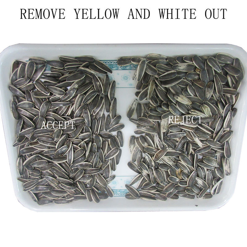 Wenyao Wifi Afstandsbediening Zonnebloempit Pompoenpit Kleursorteerder met 2 Jaar Garantie en Magneetventiel voor Industriële Verwerking