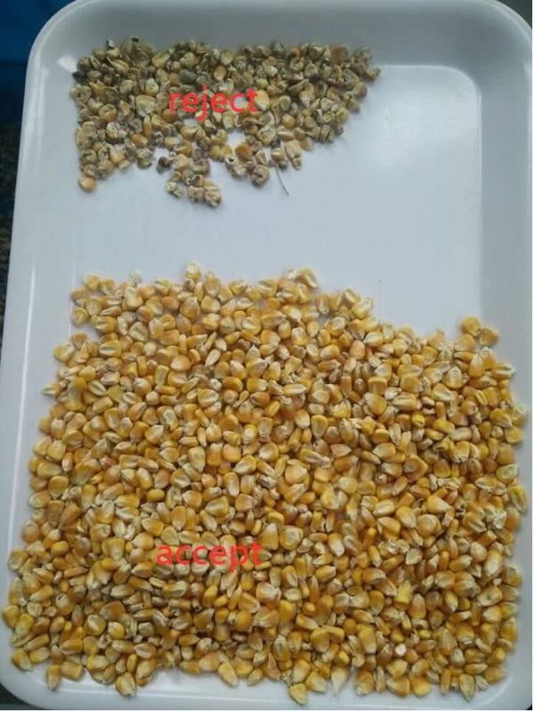 Quinoa Zaden Kleur Sorteren Machine Langkoren Gekookte Rijst Kleur Sorter Optische Zaden Kleur Selector